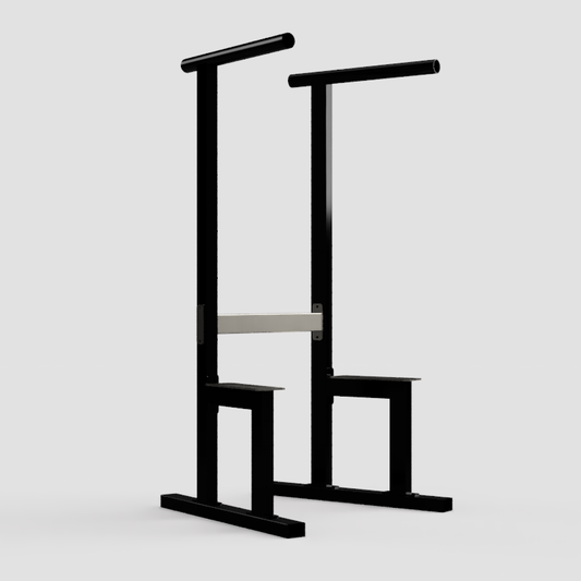 Dip Station Pro